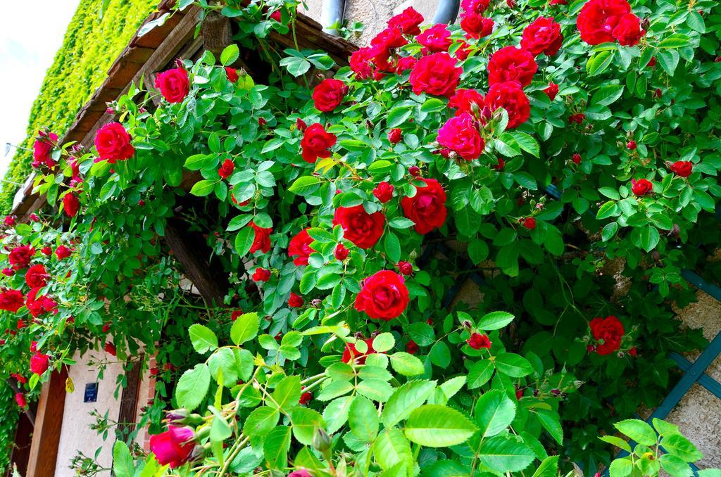 Auberge La Croix Blanche Combreux Luaran gambar